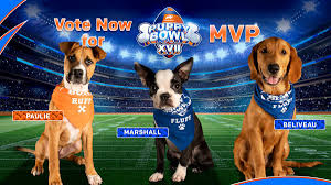 It's the puppy bowl time. 0aw L8gavfssum