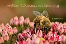Grusskarten Mit Djabbi Teddy Herzlichen Gluckwunsch Zum Geburtstag Gluckwunsche Geburtstag Geburtstag