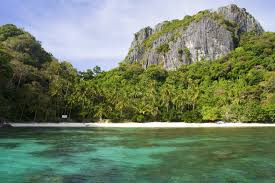 Image result for Lord of the Flies