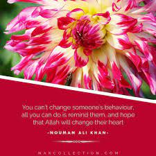 Pin By Lady Of Paradise On Nak Qoutes Aster Flower Plants Flowers