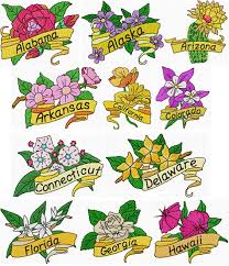 Back in 1893 during preparation for the world's fair in chicago, the creators of the national garland of flowers invited each state to select a. Usa State Flowers