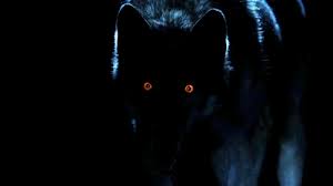 Don T Bite The Hand That Feeds You Gif Https Encrypted Tbn0 Gstatic Com Images Q Tbn 3aand9gcr En3jivmuoiinx2xyu4htiypaqaluhpvmsw Usqp Cau