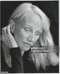 360 Traxler Stock Photos, High-Res Pictures, and Images