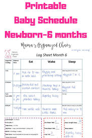 Schedules For Babies Margarethaydon Com