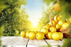 Manfaat infused water jeruk nipis. Cara Membuat Infused Water Lemon Dan Kurma Yang Kaya Manfaat Bukareview
