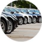 Paul Noyce Cars & Commercials Review