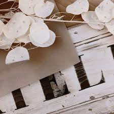 lunaria annua lnaatelier lnaatelierdeco lnaatelierhome deco deco decoration decoration decointerieur decorationinterieure madeco madecoam decor gifts wrap