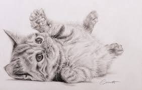 The Winners In Our First Ever National Drawing Competition Drawing Competition Comic Book Drawing Drawings