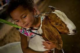 Meridian girl improves world by giving back at 4-H Small Animal Auction