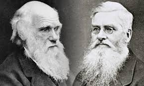 Conduct your own experiments!