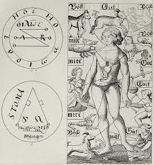 Historical Bloodletting Chart And Alchemy Symbols