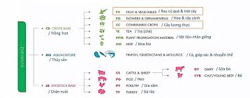 Tư vấn chứng nhận tiêu chuẩn GlobalGAP Version 6