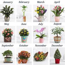 Plant Of The Month Club They Send A Seasonal Potted Plant Every Month For A Year Plants House Plant Delivery House Plants Indoor