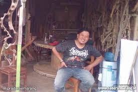 Mengenal bambu petuk dan filosofi bambu. Koleksi 400 Jenis Bambu Semua Ada Filosofinya