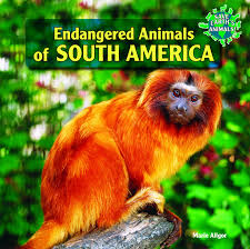 Maybe you would like to learn more about one of these? Endangered Animals Of South America Save Earth S Animals Hardcover Allgor Marie 9781448825332 Amazon Com Books