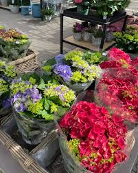 Maybe you would like to learn more about one of these? May Garden Posts Facebook