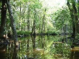 Cache River Arkansas Map Cache River (Arkansas) - Wikipedia