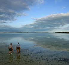 Are Permit Creatures Of Habit?