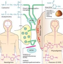Image result for Cholinergic Toxicity