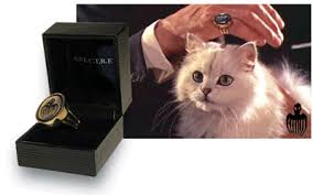 Blofeld's cat is not a charming street cat, nor is he a cute, domesticated house cat with a bell attached to his collar. Blofeld S Cat A Persian