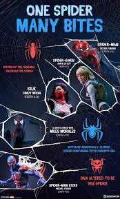 One Spider, Many Bites: Tracking the Web of Marvel's Spider Heroes