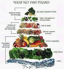 A philosophy and way of living which. The Vegan Kade Vegan Food Pyramid Chart Hope Everyone Facebook