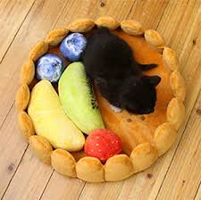There are options with a heavy dose of whimsy, like the cat teepee up top or a faux fruit tart below that's filled. Fun And Unique Cat Beds Your Kitty Will Love Meow As Fluff