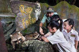 Some of the signages' concepts. Lost World Of Tambun Full Access Ticket June 2021