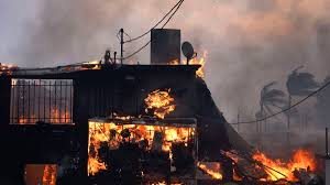 Adam Brody and Paris Hilton among celebrities who lost homes in LA fires