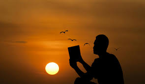 Free Images : book, peace, relax, study, silhouette, education, alone,  sitting, hobby, sunset, novel, student, man, enjoyment, reading, vacation,  People in nature, sky, backlighting, orange, morning, horizon, sunrise,  evening, afterglow, happy, calm,