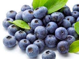 Maybe you would like to learn more about one of these? Blueberries Health Benefits Facts And Research