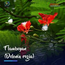 Bingkai nama yang kedua adalah bingkai nama dengan bunga yang mempunyai format png. Bunga Kana On Twitter Mantan Calon Nama Regu Pramuka Ku Sebelum Akhinya Jadi Lili Hehe Tapi Susah Juga Mau Nama Bunga Lain Ditoko Baju Adanya Stiker Nama Regu Yang Itu2 Aja