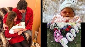 Ectoderm adalah lapisan yang paling atas yang akan membentuk system saraf pada janin. Lahirkan Bayi Tak Bernyawa Ternyata Ini Penyebab Bayinya Meninggal Di Dalam Kandungan Tribun Wow