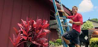 We believe that the pest control service from sovereign pest control is a much better value and a more effective solution than the do it yourself approach. Professional Pest Control Service Vs Diy Pest Control Services