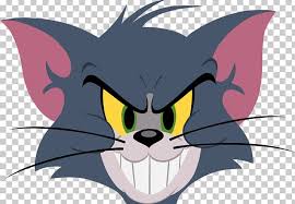 Tom and jerry electric dragon productions wiki fandom. Tom Cat Whiskers Toodles Galore Tom And Jerry Png Clipart Carnivoran Cartoon Cat Like Mammal Computer