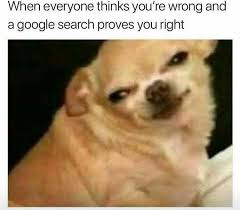 Pin By Victoria Marin On Humor Funny Instagram Memes Funny Animal Jokes Funny Dog Memes