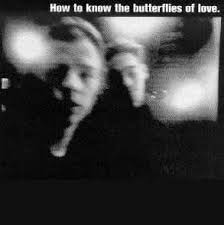 The Butterflies Of Love