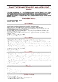 Quality Assurance Business Analyst Resume Example