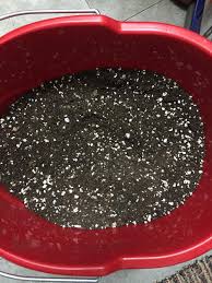 My version of al's gritty mix fir bark, turface, chicken grit, gypsum. Cactus And Succulents Forum Soil For Cacti And Other Succulents Garden Org