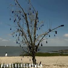 The best gifs are on giphy. Wind Bottle Tree Gif By Underground Find Share On Giphy