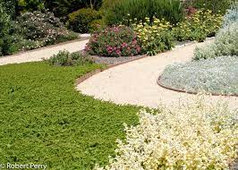 We did not find results for: Creeping Myoporum Cvs Inland Valley Garden Planner