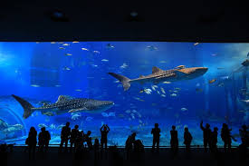 In savannah zoo you will explore by connecting to the animals and nature in savannah zoo.experience become one with the zoo and participate in fun activities with the animals. 12 Top Rated Tourist Attractions In Georgia Planetware