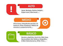 Delegados de protección de datos. Ley Organica De Proteccion De Datos Gesys