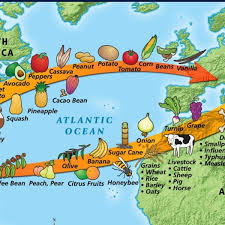 The columbian exchange the global transfer of foods, plants, and animals during the colonization of the americas is known as the columbian exchange. How Nonhuman Life Forms Can Change The Course Of History