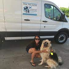 Single point of contact for all your pet relocation needs. Pet Shipping Costs Continental Pet Relocation