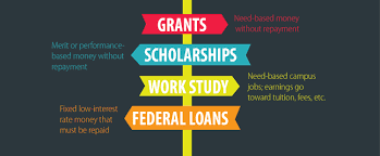 Download Apply to Scholarships Easily with Going Merry Wallpaper