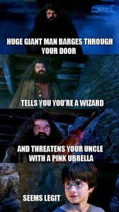 Politics allowed, harassment and rude behavior is not. Best Harry Potter Memes 50 Funny Pictures With Hp
