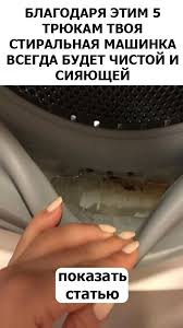 родился человек но кто знает что будет из него Sovet Blagodarya Etim 5 Tryukam Tvoya Stiralnaya Mashina Vsegda Budet Chistoj V 2020 G Sovety Poleznye Sovety Bytovye Sovety