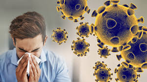 Image result for coronavirus