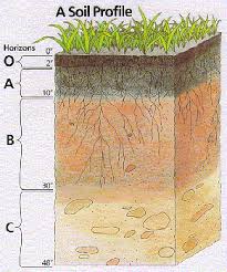 soil horizons power point presentation